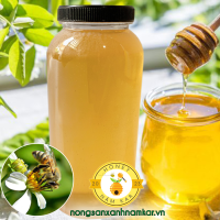 Mật ong hoa xuyến chi (hết hàng) thumb