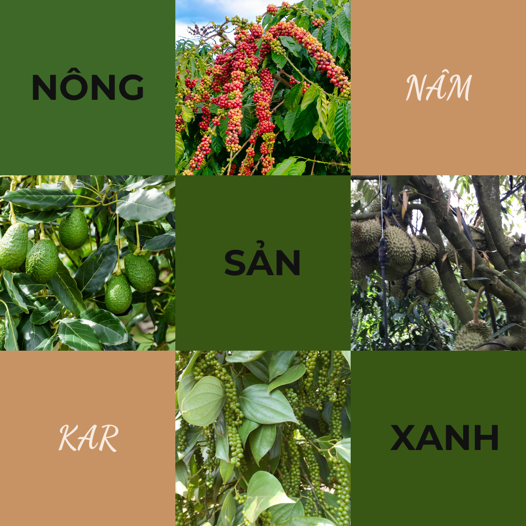 nông sản xanh nam kar