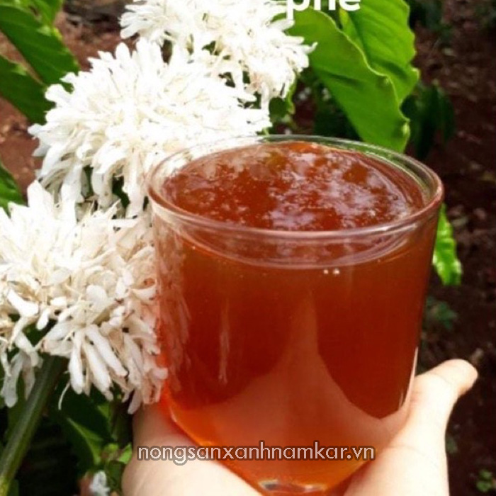 mat ong hoa ca phe mat ong Nâm Kar nongsanxanhnamkar vn