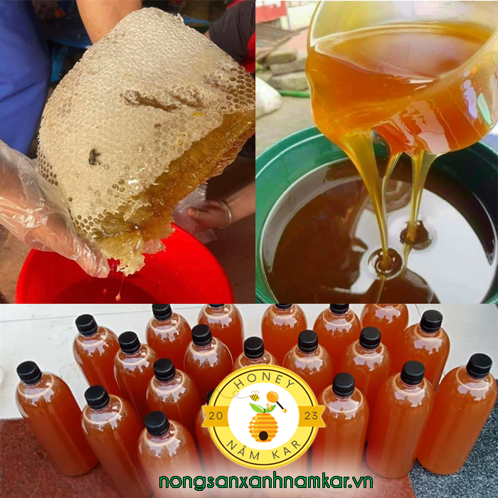 mật ong hoa cà phê nguyen chat nongsanxanhnamkar vn