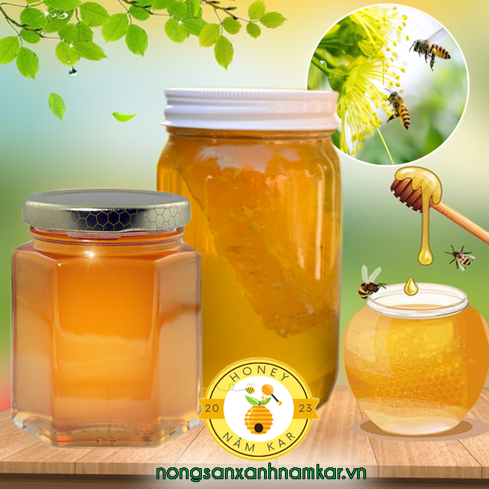 Mật ong hoa rừng