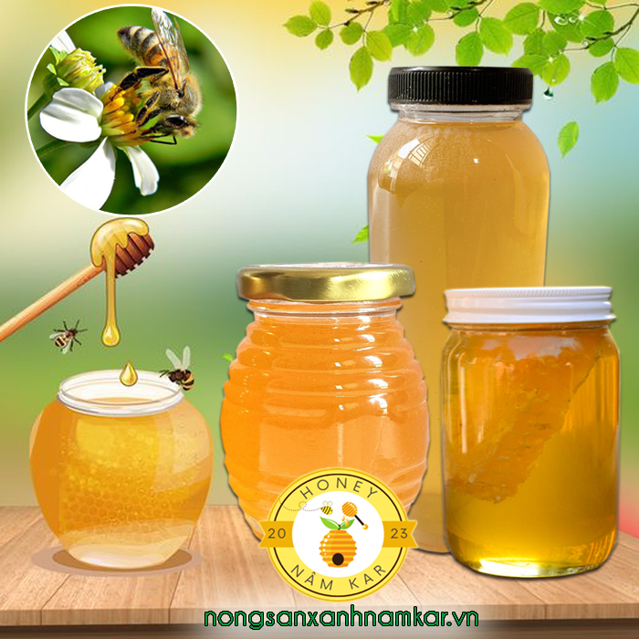 mật ong hoa xuyến chi mat ong Nâm Kar nongsanxanhnamkar vn