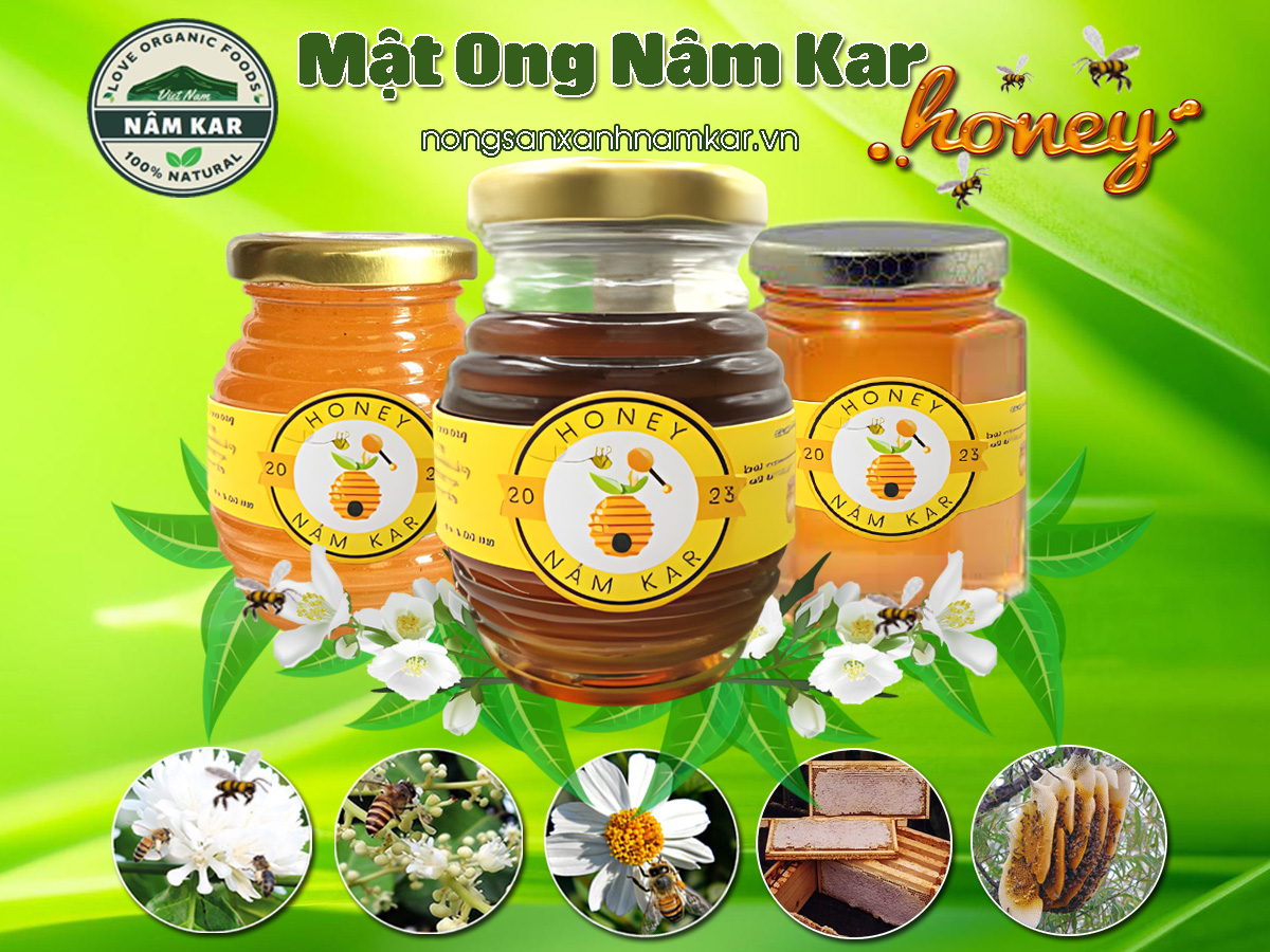 mat ong nam kar mat ong rung mat ong nguyen chat nongsanxanhnamkar vn 001