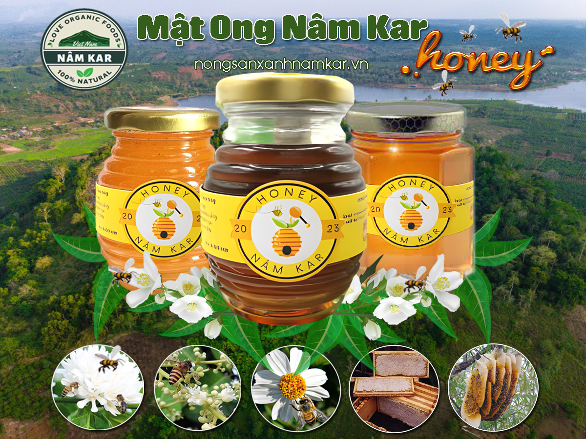 mat ong nam kar mat ong rung mat ong nguyen chat nongsanxanhnamkar vn